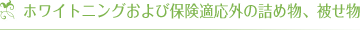 ホワイトニングおよび保険適応外の詰め物、被せ物